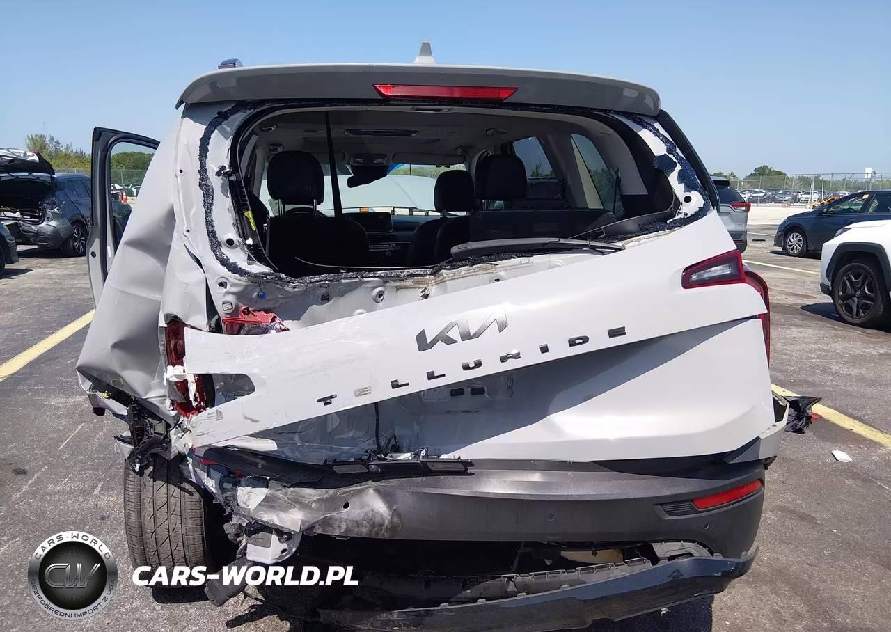 2022 Kia Telluride Ex VIN:5XYP3DHC4NG231352 - 6