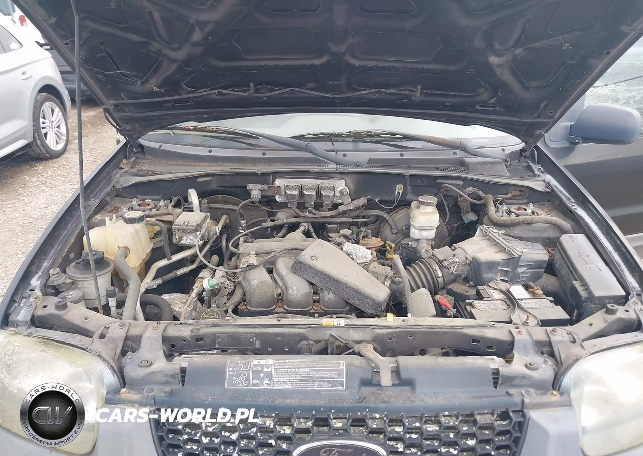 2005 Ford Escape Xlt VIN:1FMYU93165KD76094 - 10