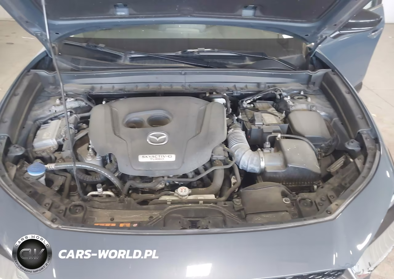 2022 Mazda Cx-30 2.5 Turbo VIN:3MVDMBAY8NM444834 - 10
