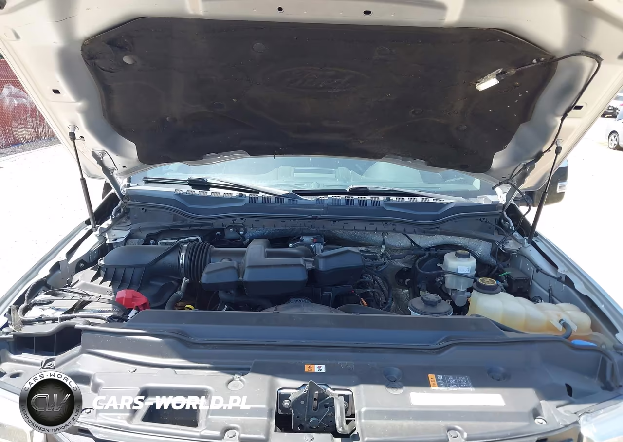 2017 Ford F-250 Xlt VIN:1FT7W2B69HEF42920 - 10