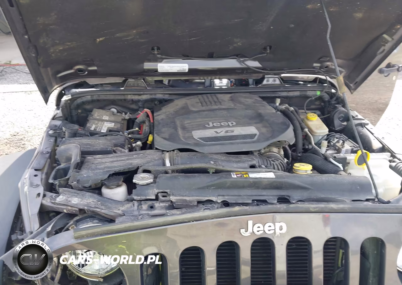 2016 Jeep Wrangler Rubicon VIN:1C4BJWCG7GL225798 - 10