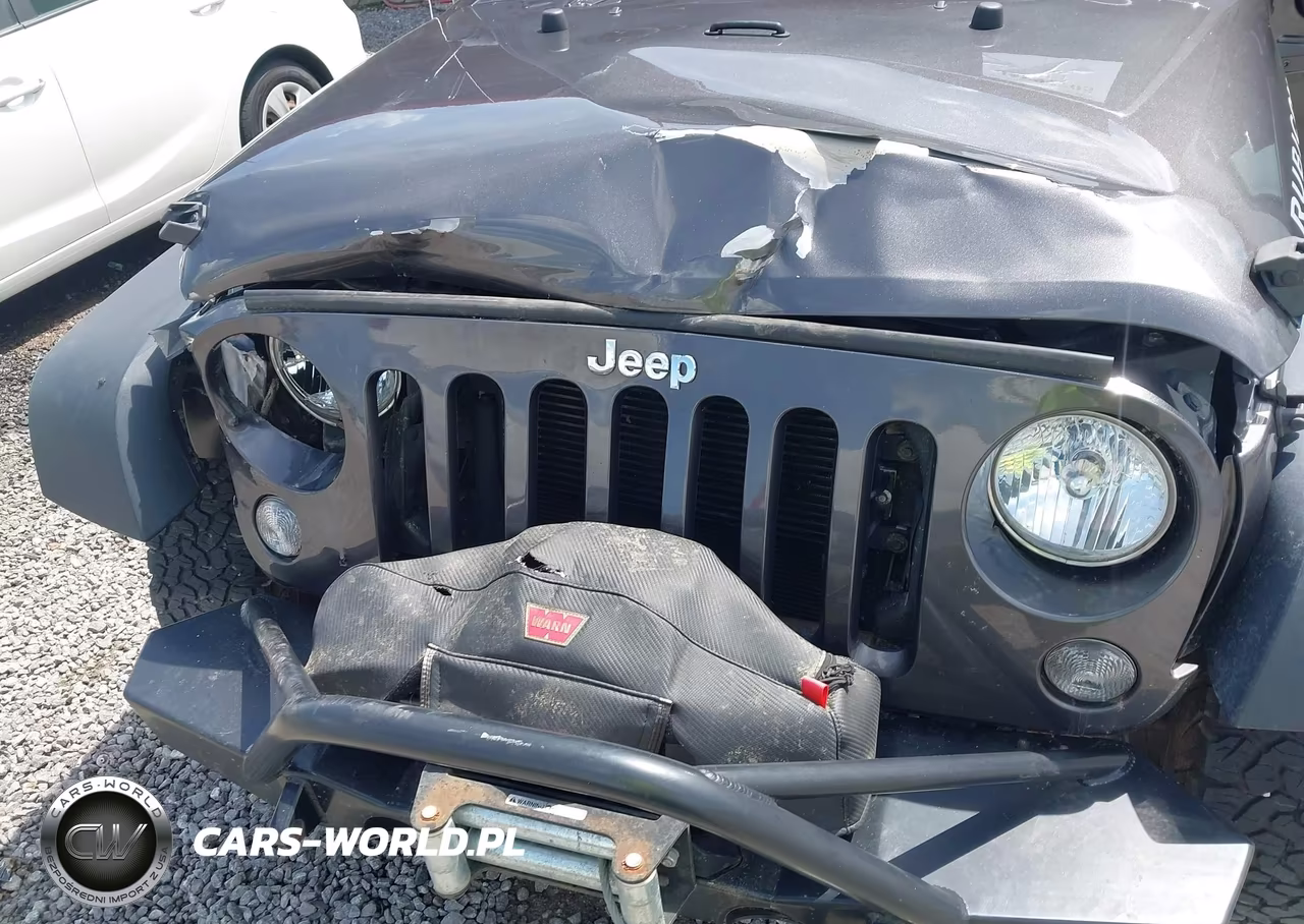 2016 Jeep Wrangler Rubicon VIN:1C4BJWCG7GL225798 - 6