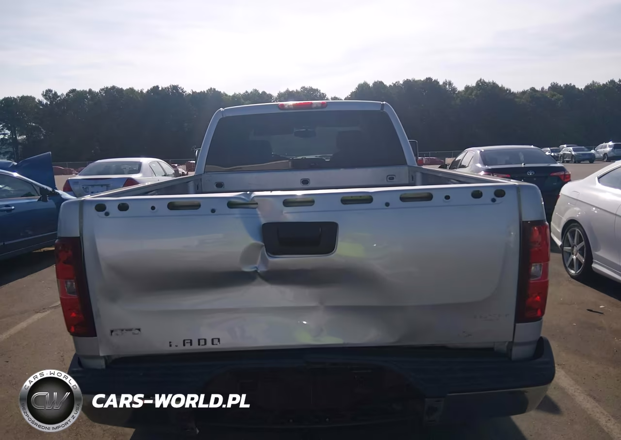 2012 Chevrolet Silverado 1500 Lt VIN:1GCRCSEA4CZ155873 - 17