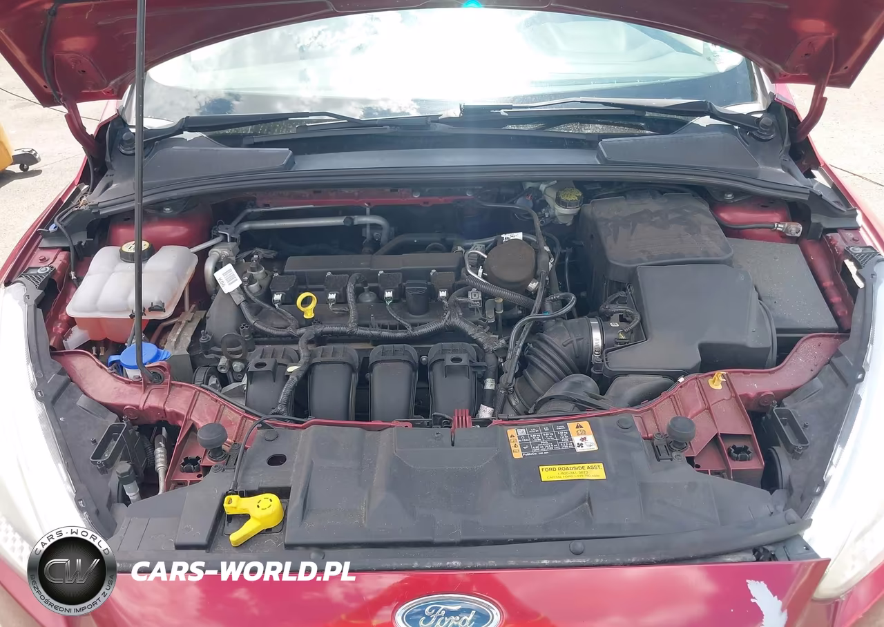 FORD FOCUS SE VIN:1FADP3K29FL378196 - 10