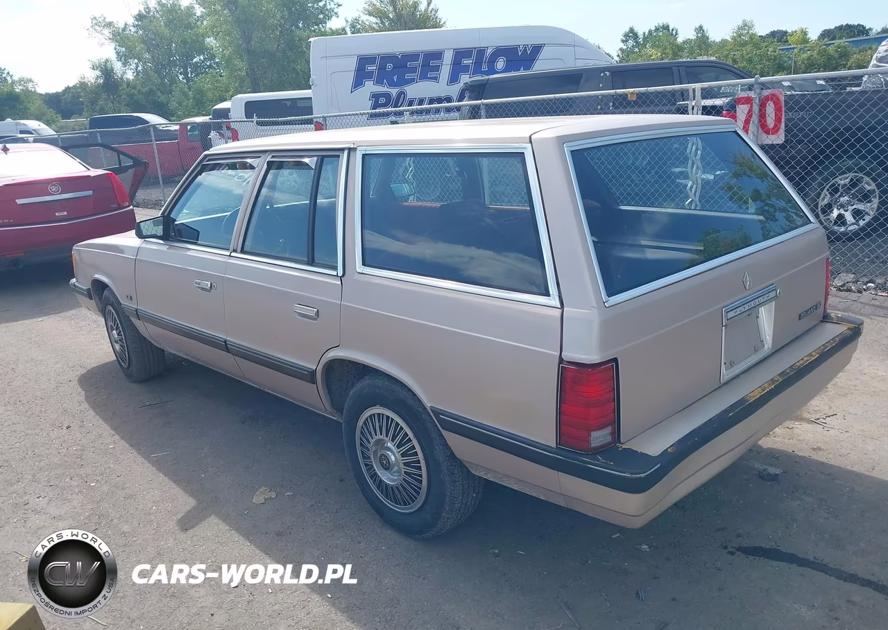 1988 Plymouth Reliant Le VIN:1P3BP49D6JF240587 - 3
