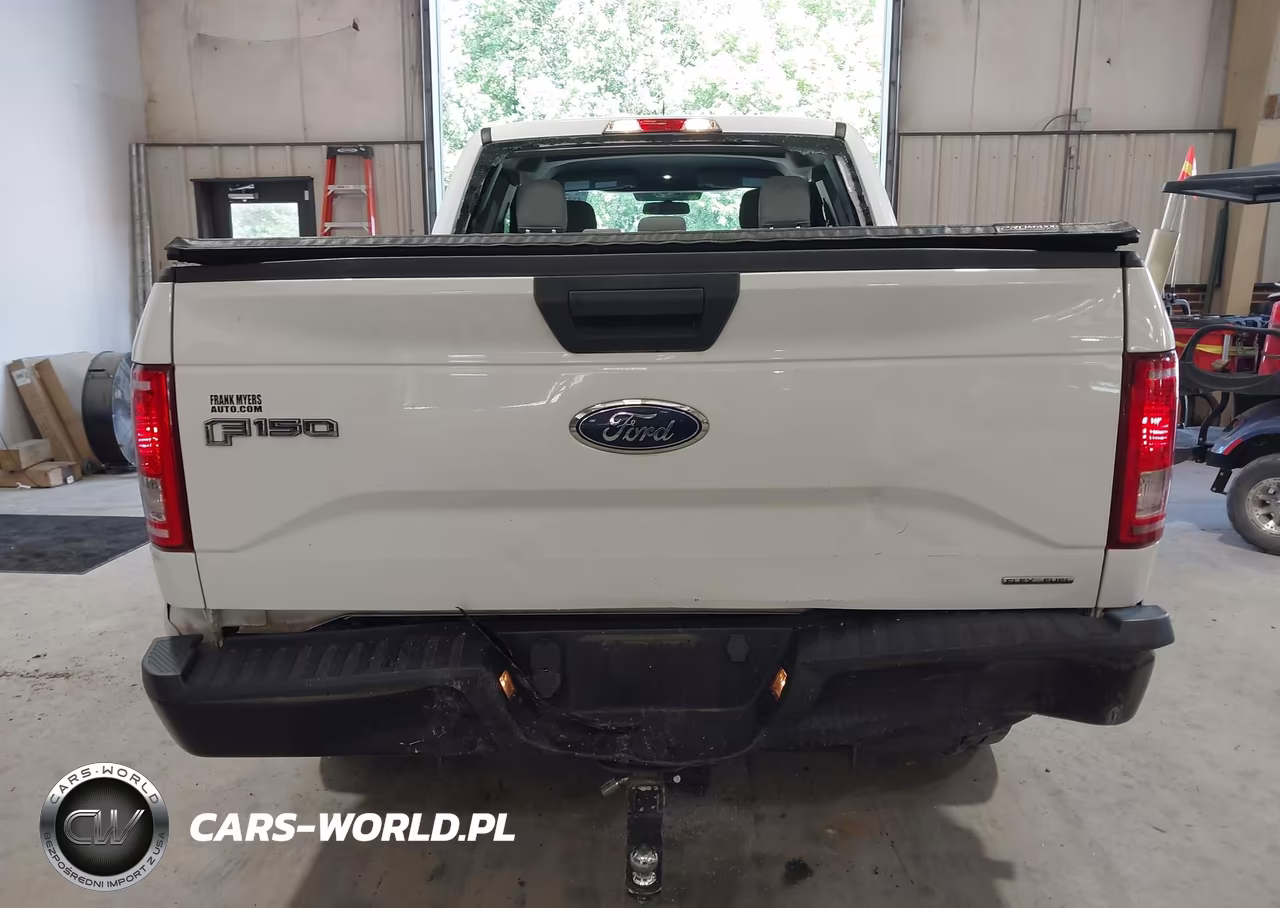 2016 Ford F-150 Xl VIN:1FTEX1E88GFC48140 - 17