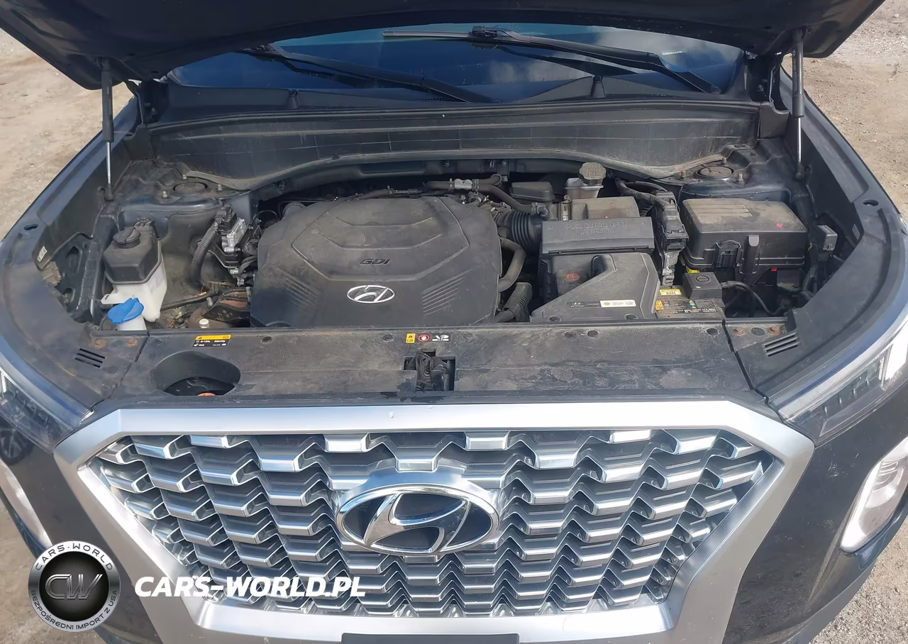 2020 Hyundai Palisade Sel VIN:KM8R3DHE4LU164799 - 10
