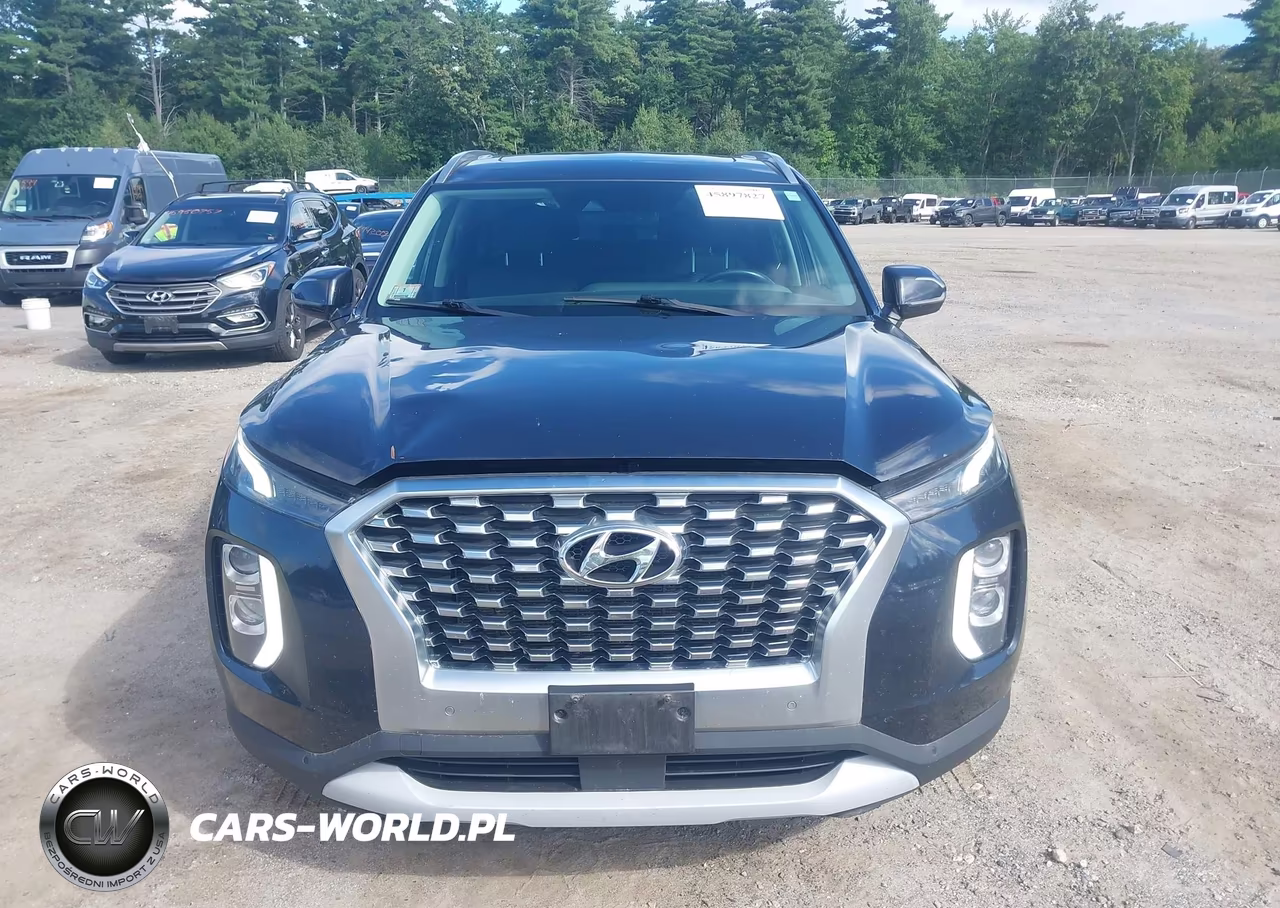 2020 Hyundai Palisade Sel VIN:KM8R3DHE4LU164799 - 12