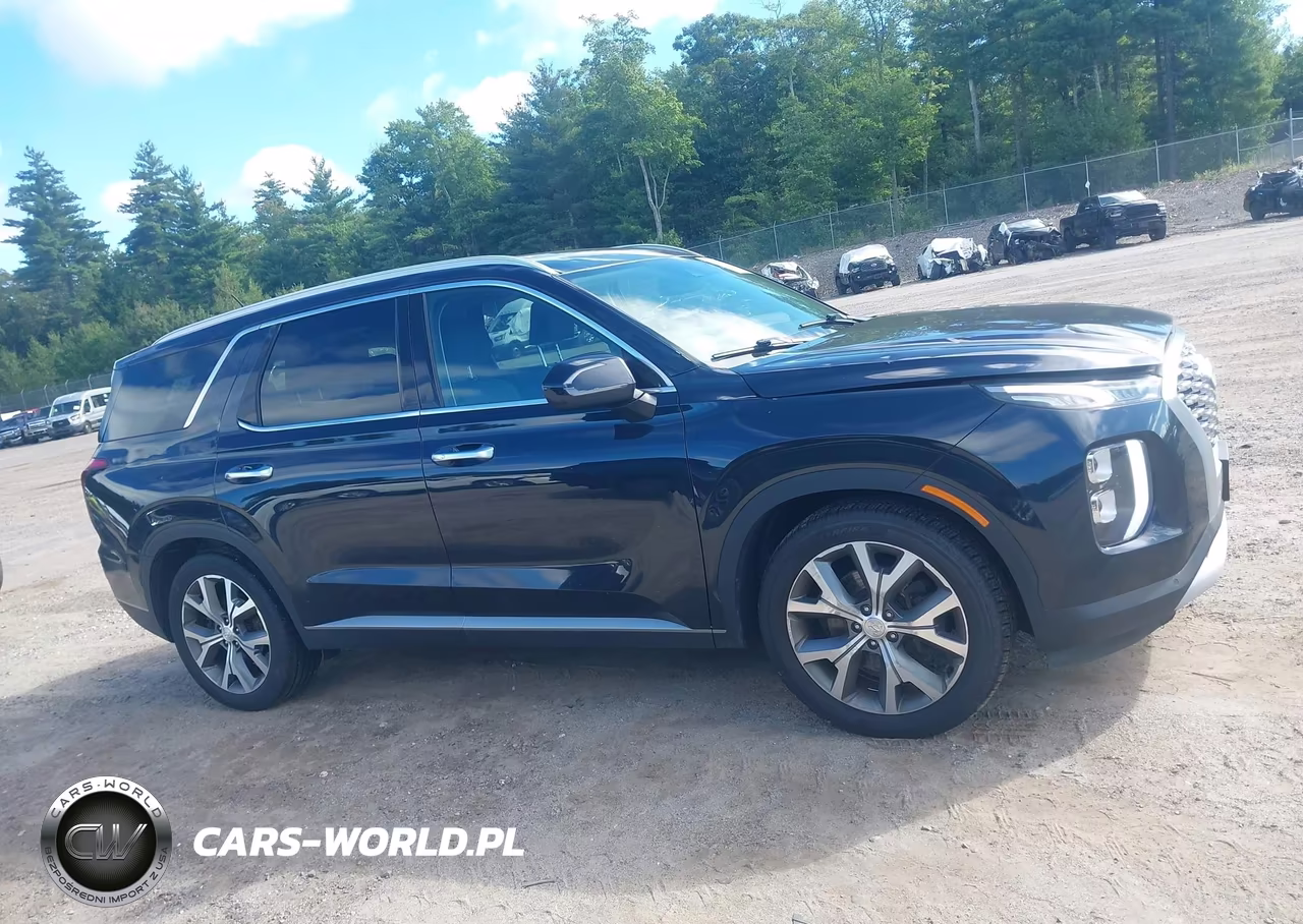 2020 Hyundai Palisade Sel VIN:KM8R3DHE4LU164799 - 13