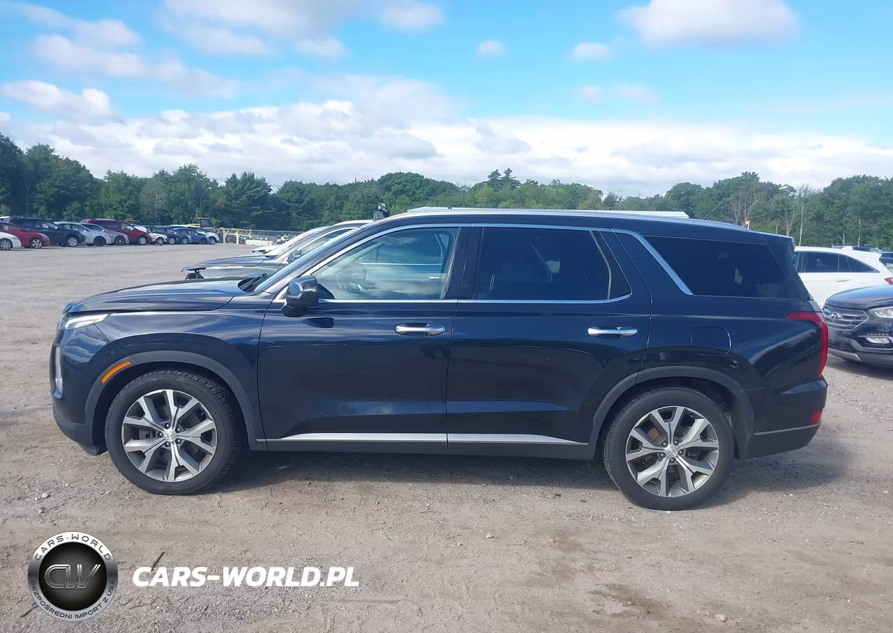 2020 Hyundai Palisade Sel VIN:KM8R3DHE4LU164799 - 14