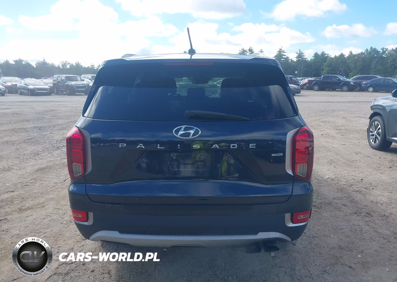 2020 Hyundai Palisade Sel VIN:KM8R3DHE4LU164799 - 16