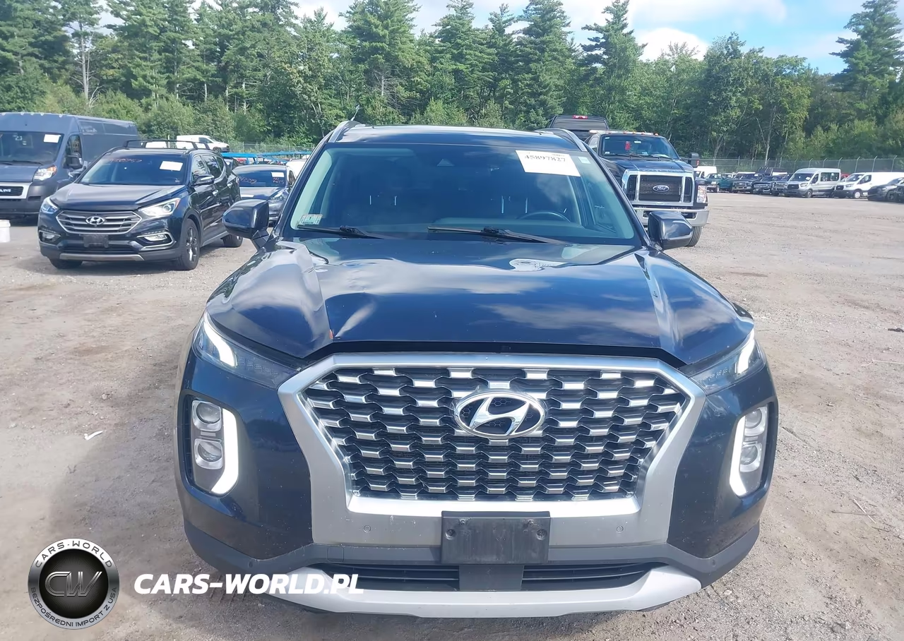 2020 Hyundai Palisade Sel VIN:KM8R3DHE4LU164799 - 17
