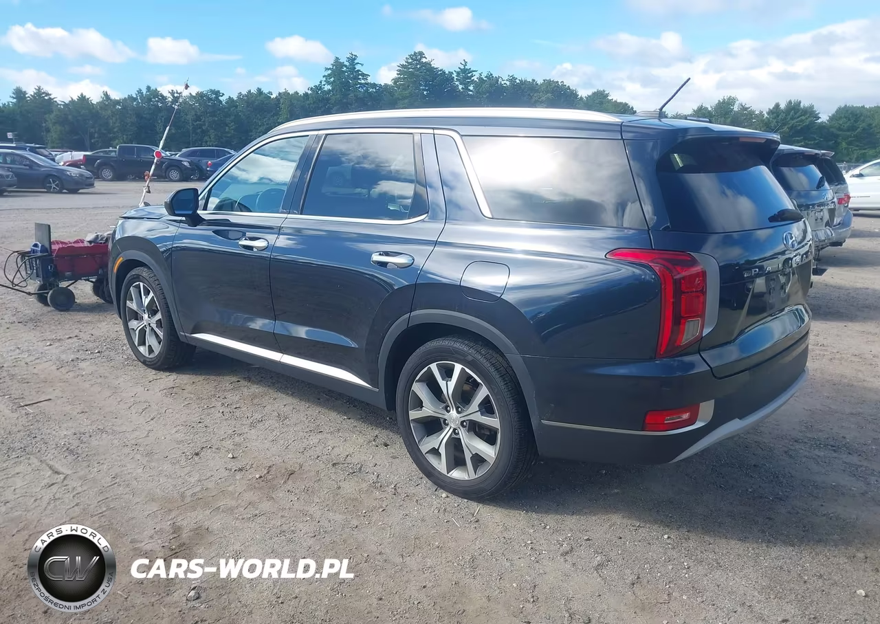 2020 Hyundai Palisade Sel VIN:KM8R3DHE4LU164799 - 3