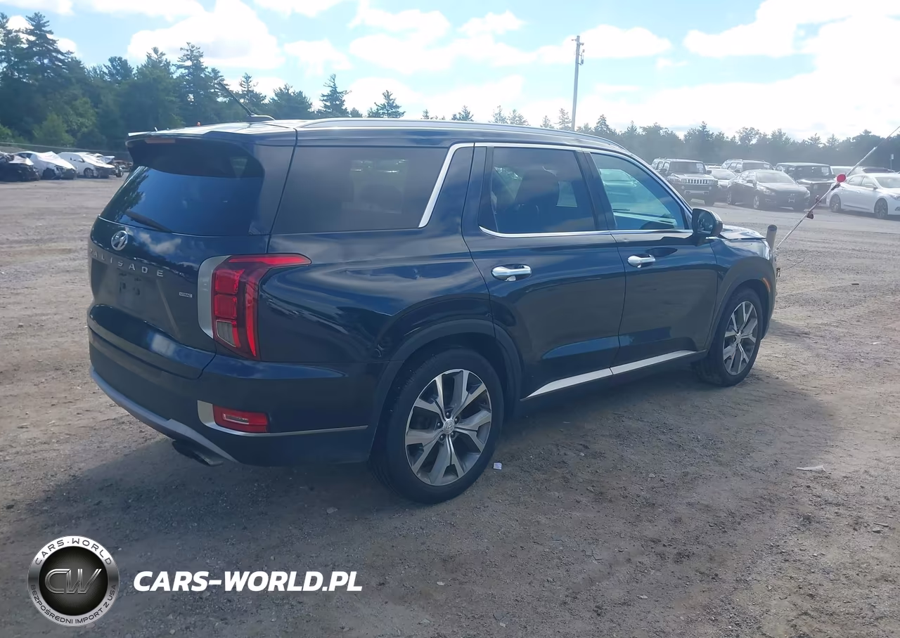 2020 Hyundai Palisade Sel VIN:KM8R3DHE4LU164799 - 4