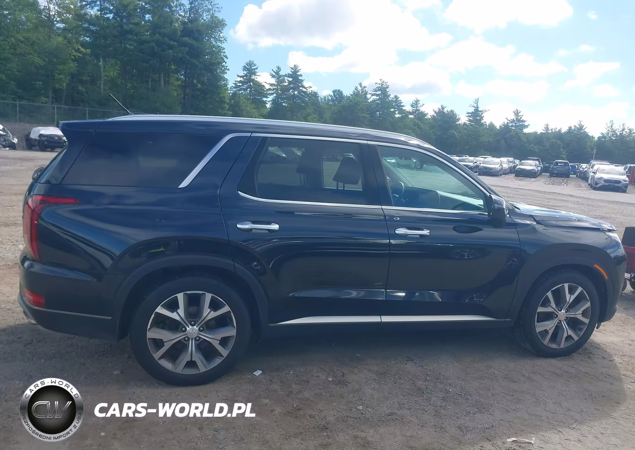 2020 Hyundai Palisade Sel VIN:KM8R3DHE4LU164799 - 6
