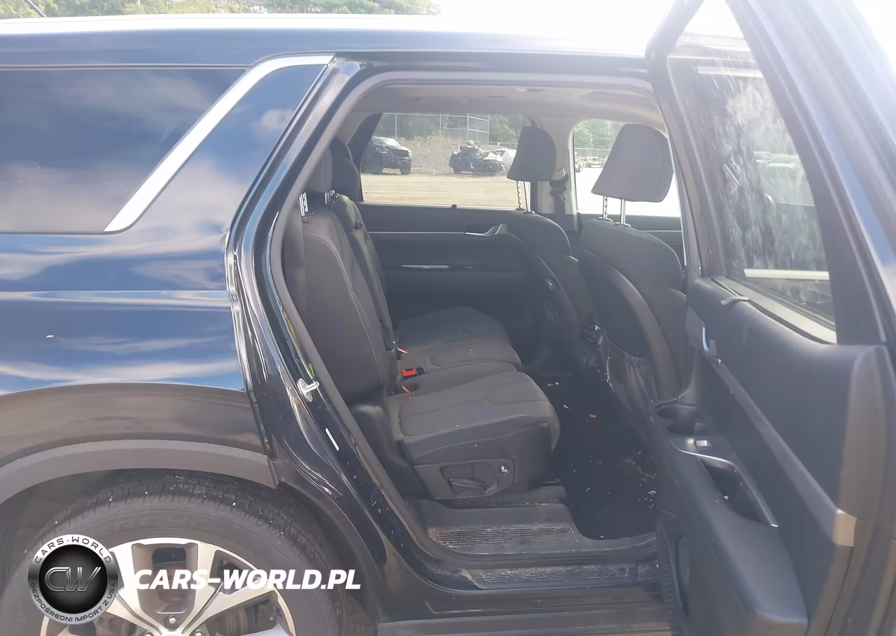 2020 Hyundai Palisade Sel VIN:KM8R3DHE4LU164799 - 8