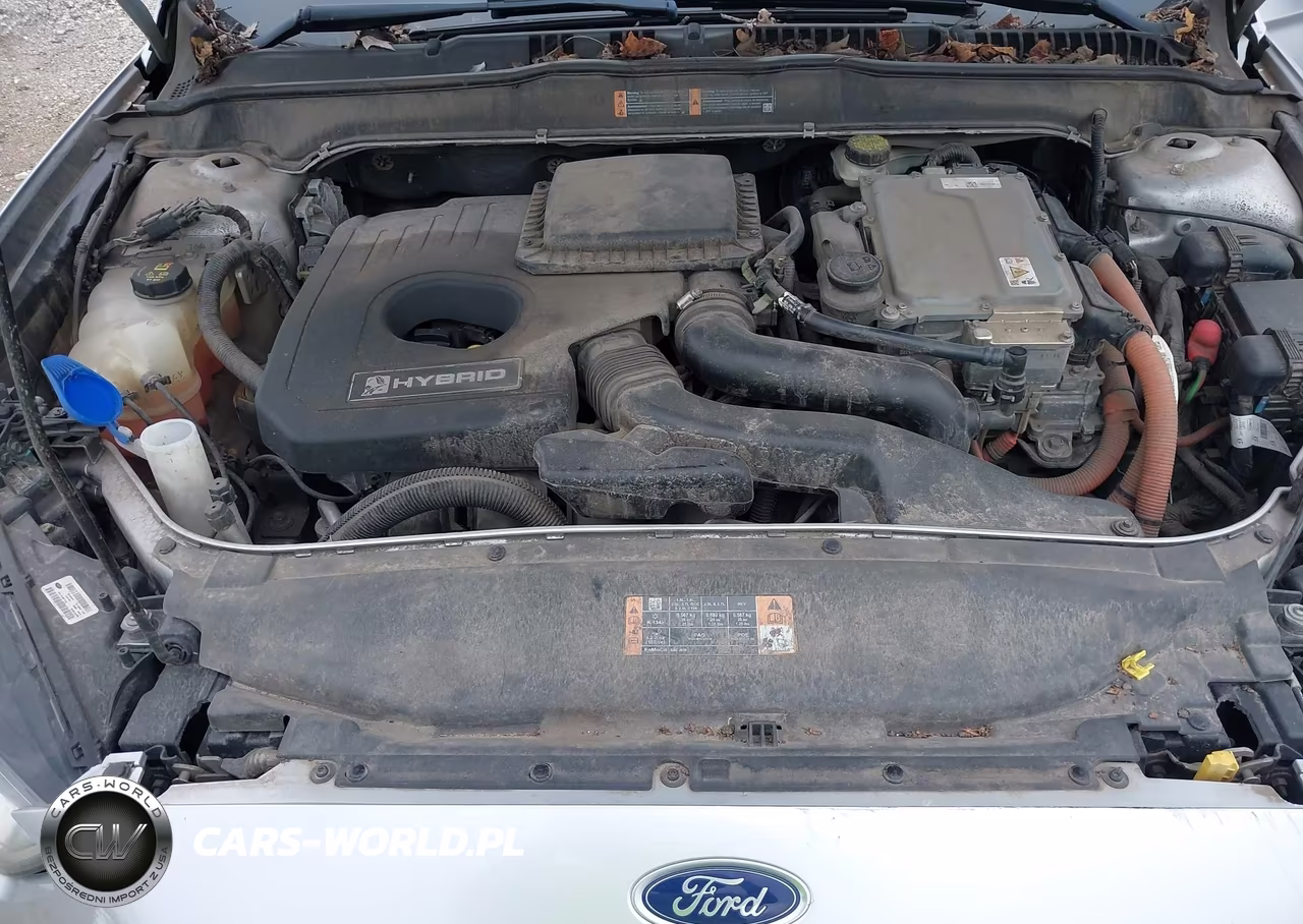2016 Ford Fusion Hybrid Se VIN:3FA6P0LU1GR345073 - 10