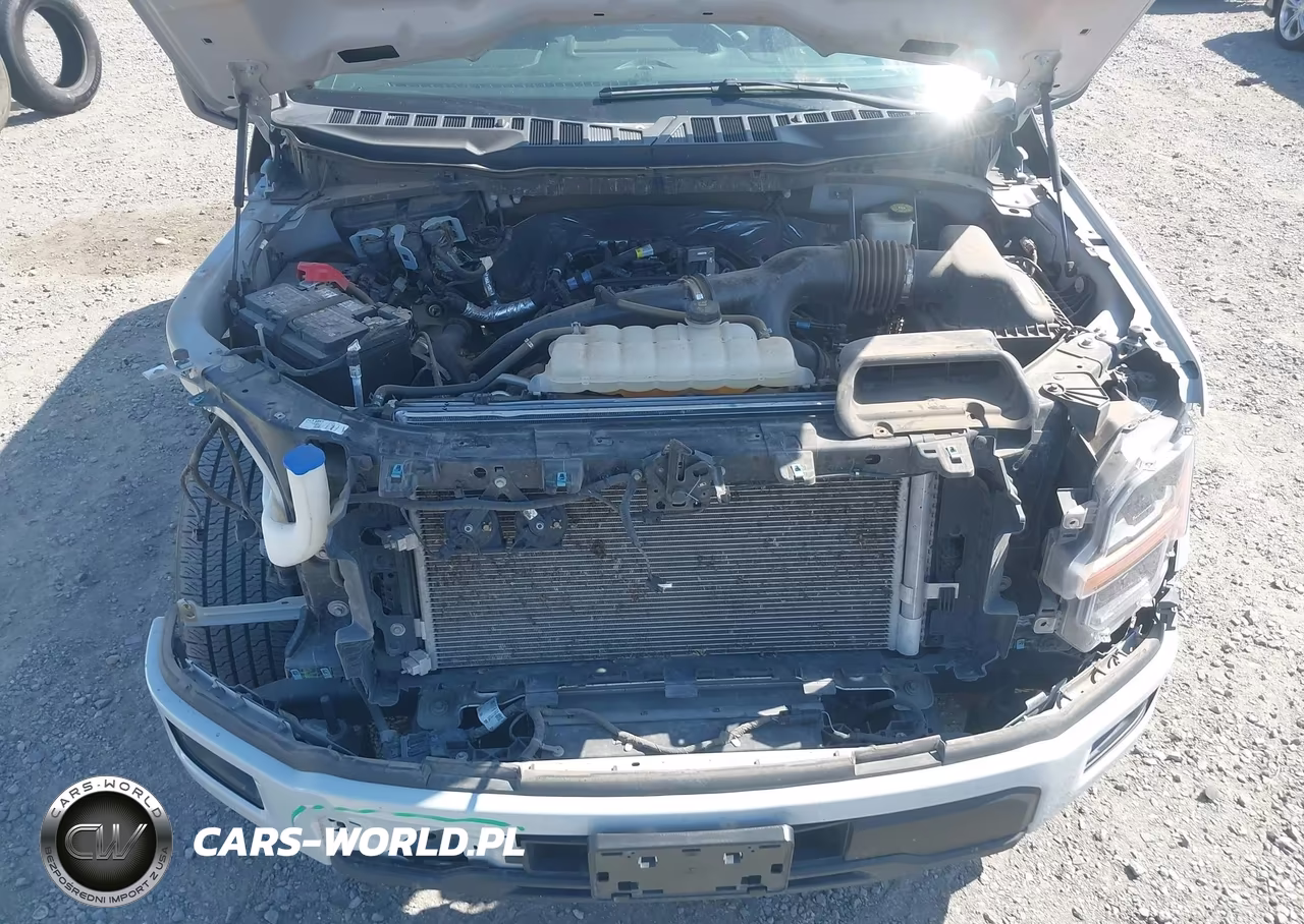 2024 Ford F-150 Stx VIN:1FTEW2KP7RKF73649 - 10