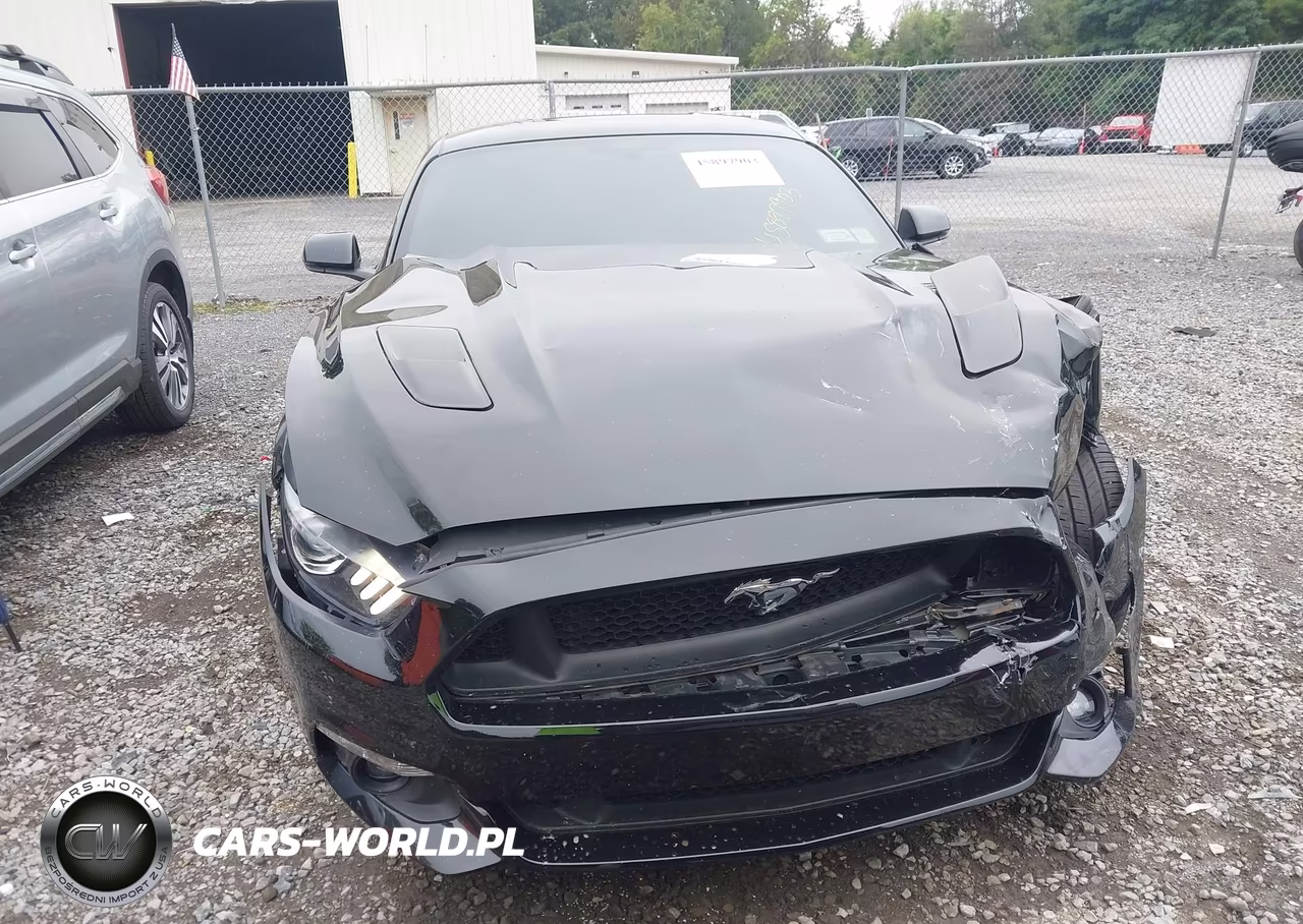 2017 Ford Mustang Gt Premium VIN:1FA6P8CF8H5345544 - 12