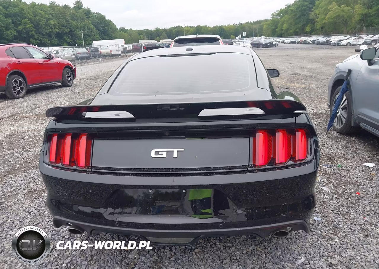 2017 Ford Mustang Gt Premium VIN:1FA6P8CF8H5345544 - 16