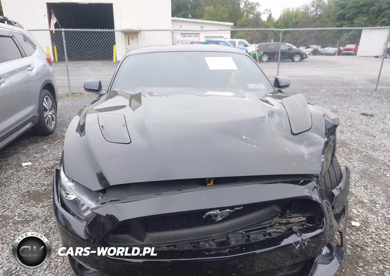 2017 Ford Mustang Gt Premium VIN:1FA6P8CF8H5345544 - 6