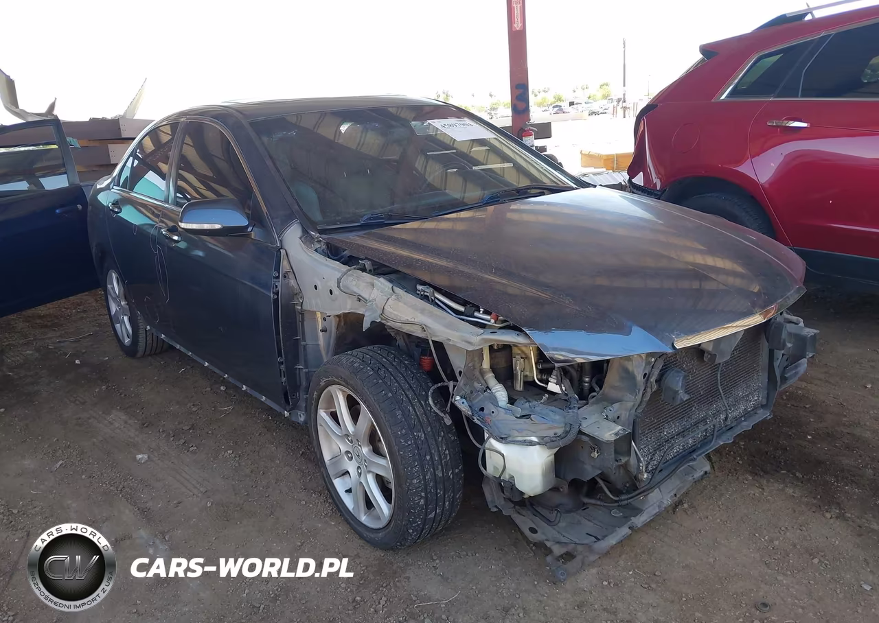 2004 Acura Tsx VIN:JH4CL96854C045959 - 6