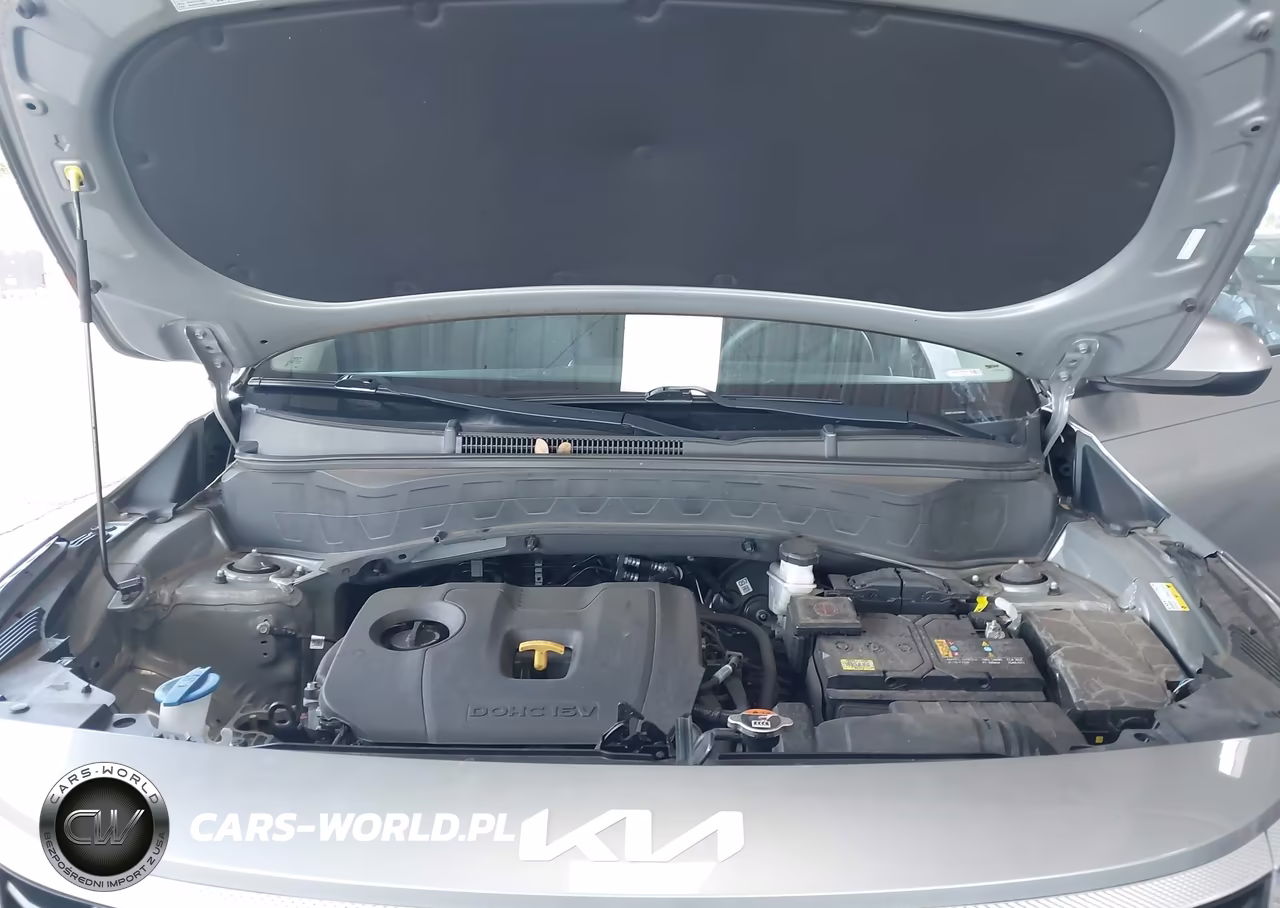 2024 Kia Seltos Lx VIN:KNDEPCAA7R7481508 - 10