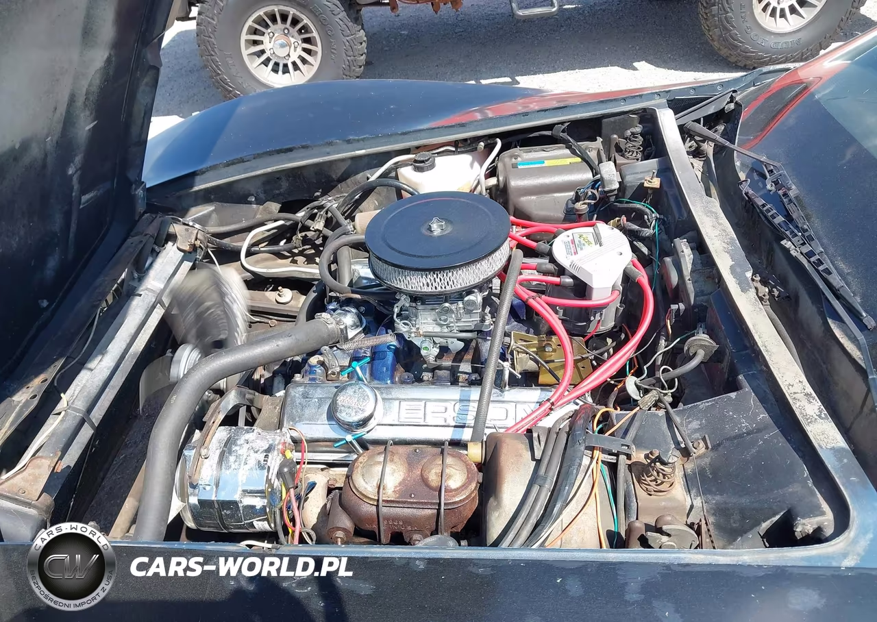 1980 Chevrolet Corvette VIN:1Z876AS429925 - 10