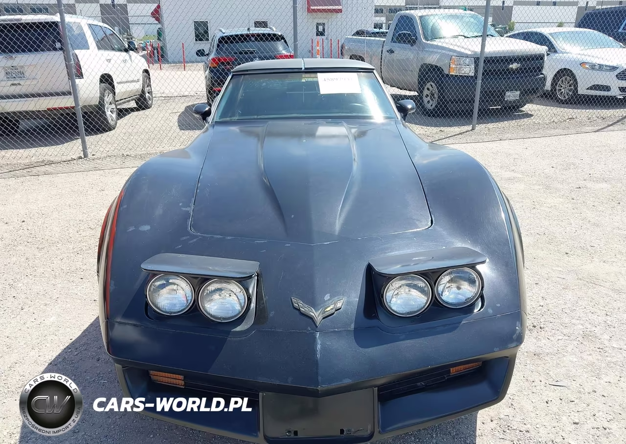 1980 Chevrolet Corvette VIN:1Z876AS429925 - 12