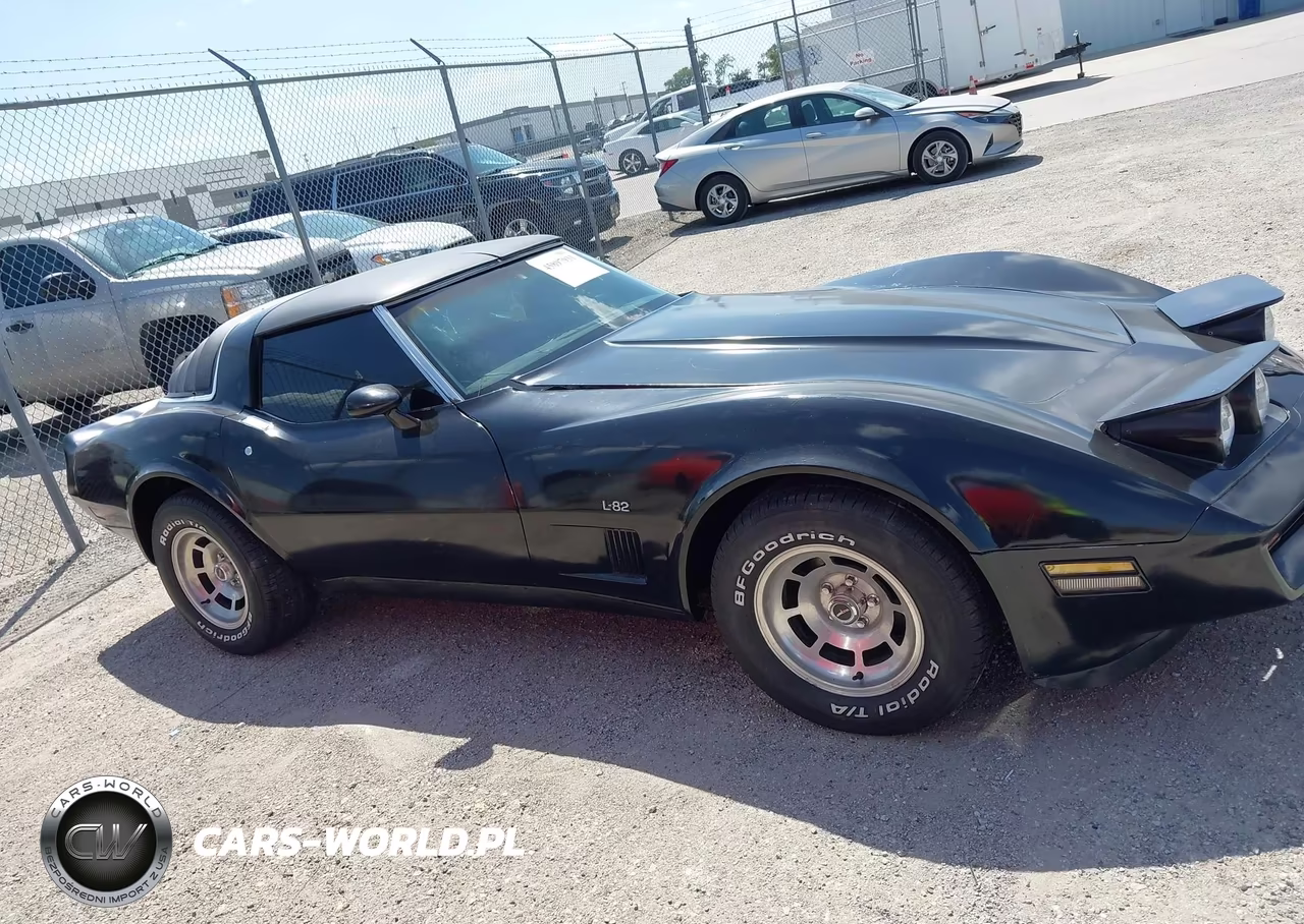 1980 Chevrolet Corvette VIN:1Z876AS429925 - 13