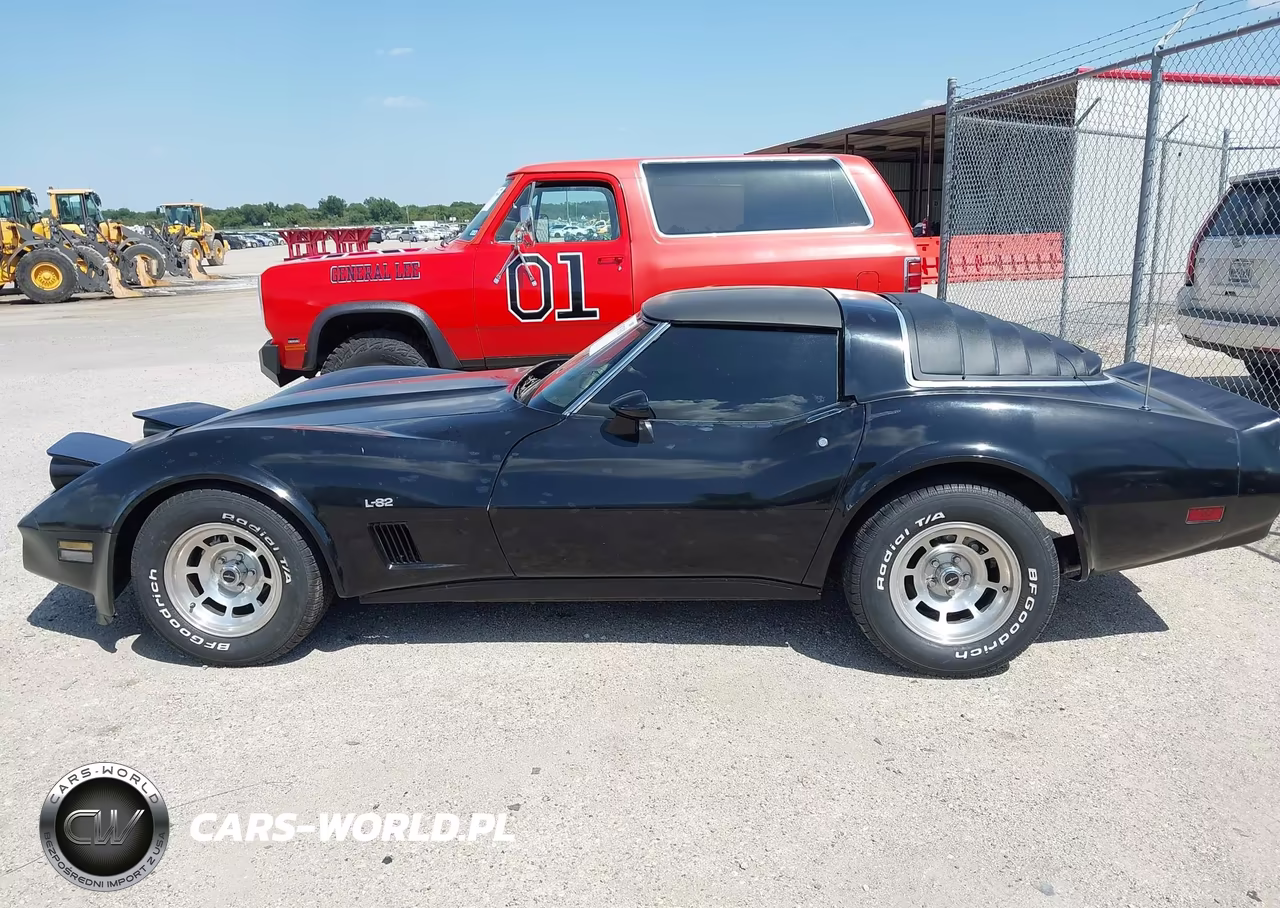 1980 Chevrolet Corvette VIN:1Z876AS429925 - 14