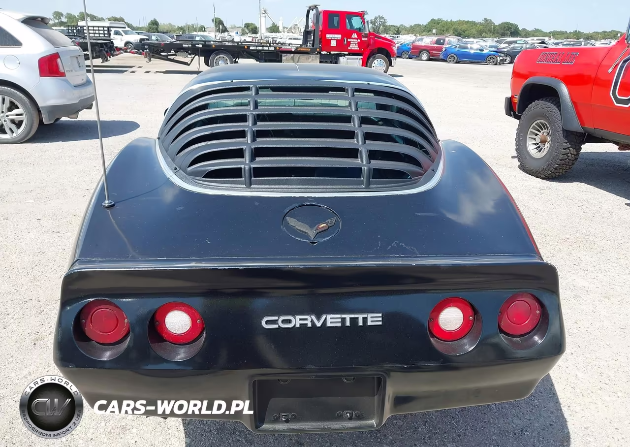 1980 Chevrolet Corvette VIN:1Z876AS429925 - 16