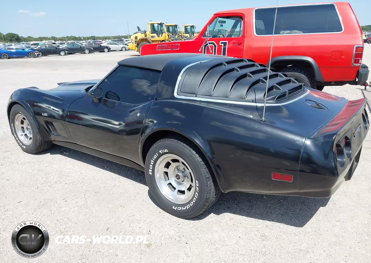 1980 Chevrolet Corvette VIN:1Z876AS429925 - 3