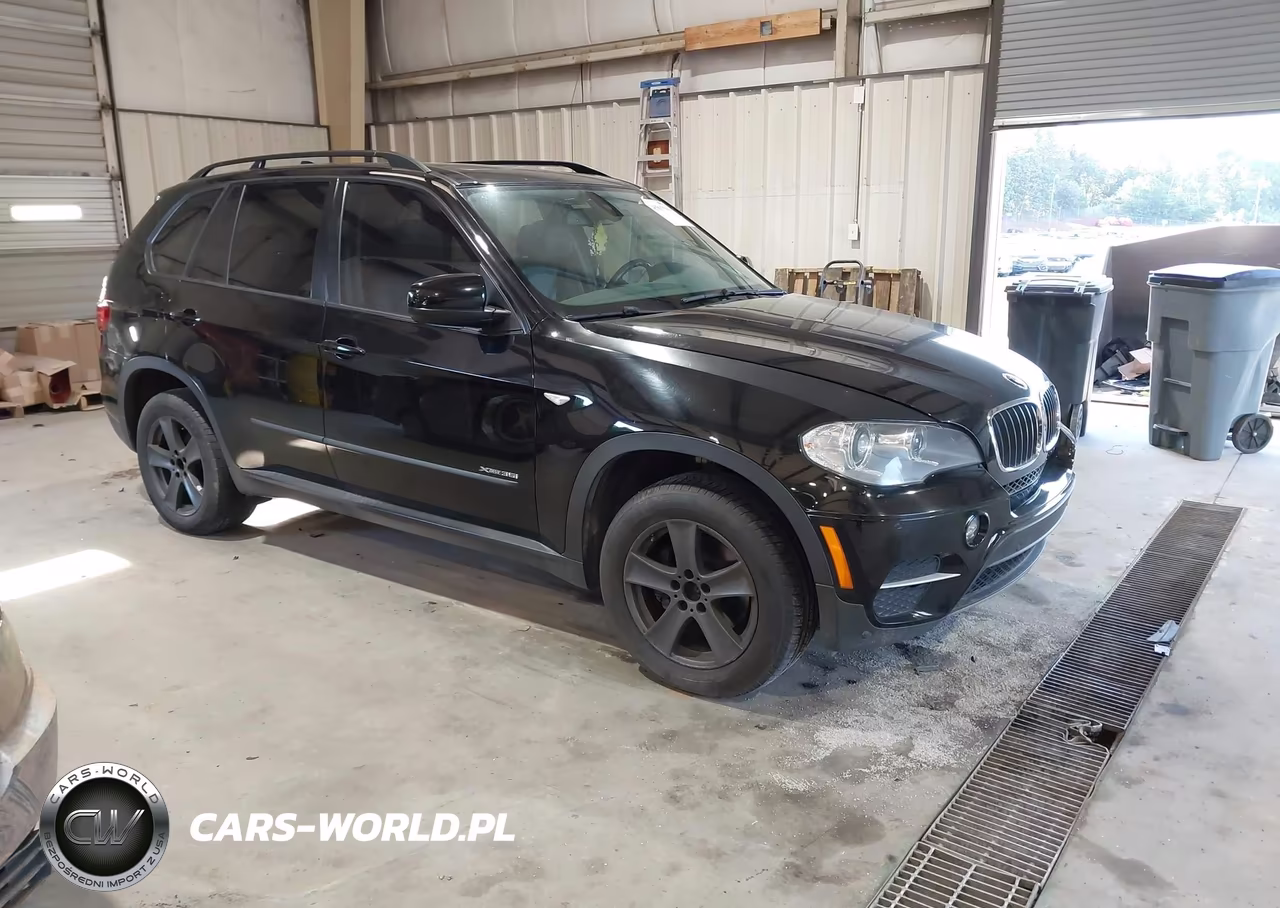 2013 BMW X5 xDrive35I-xDrive35I Premium-xDrive35I Sport Activity – zdjęcie 1 z 11