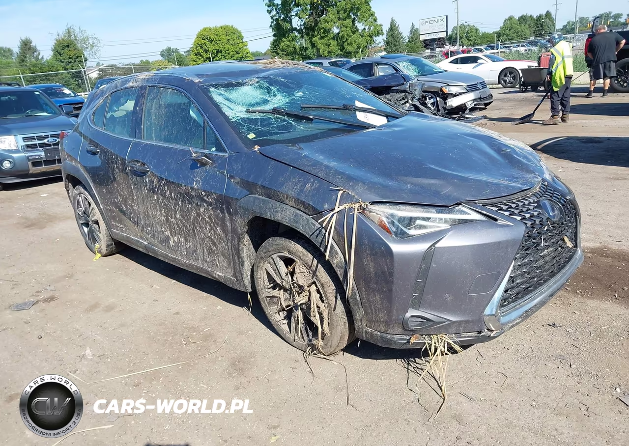2021 Lexus Ux 250H