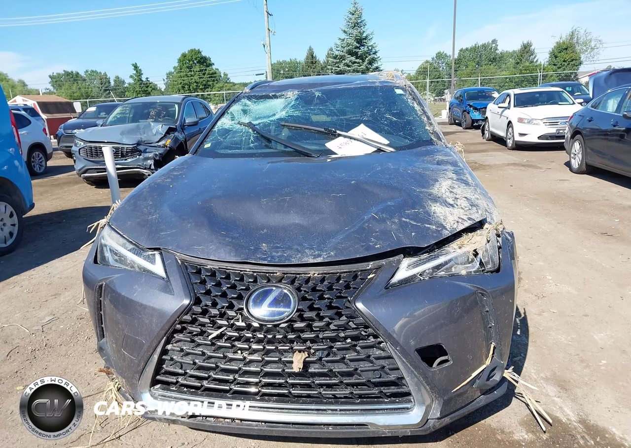 2021 Lexus Ux 250H VIN:JTHP9JBHXM2050006 - 12