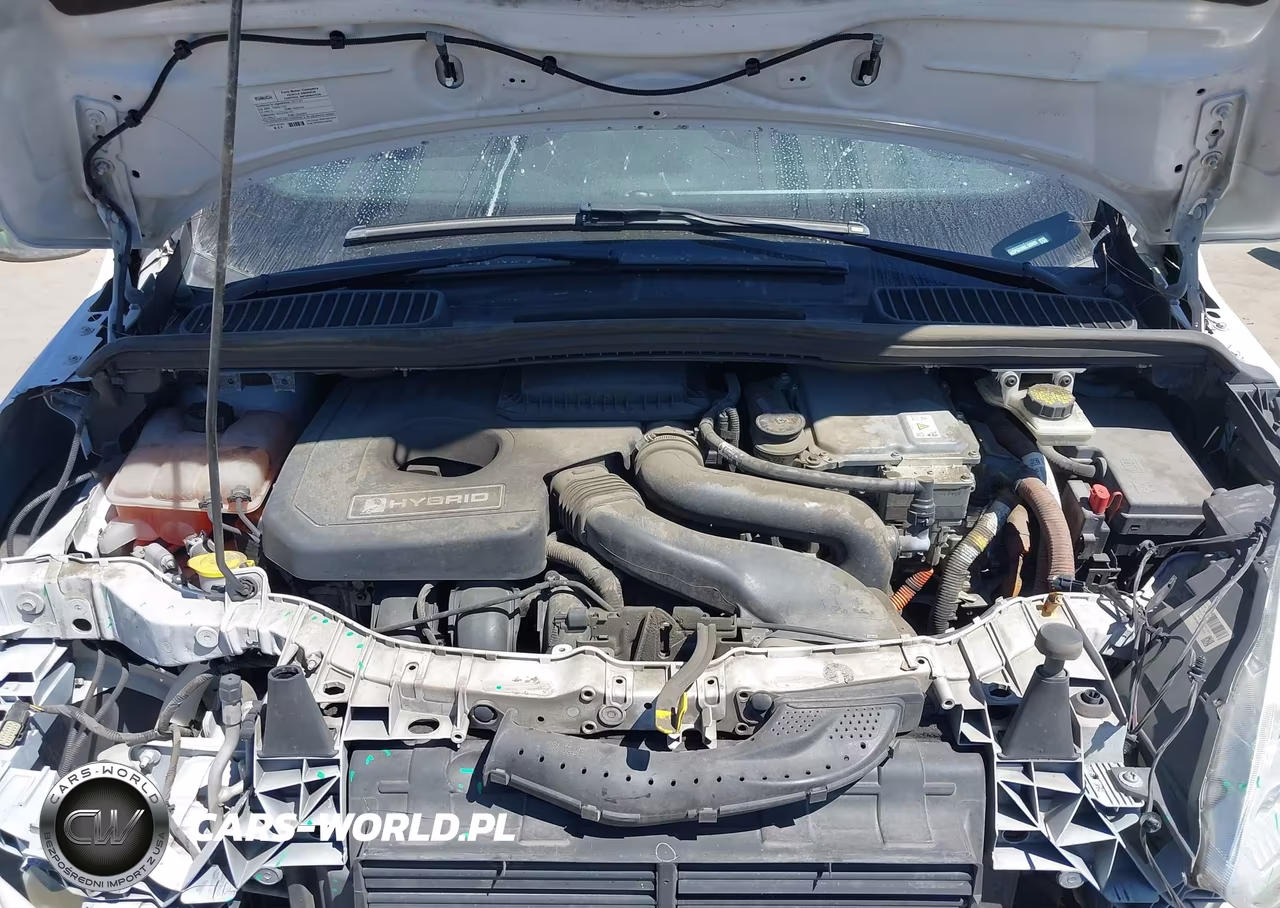 2017 Ford C-Max Hybrid Titanium VIN:1FADP5DU9HL100928 - 10