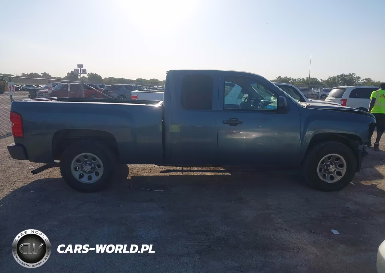 2009 Chevrolet Silverado 1500 Work Truck VIN:1GCEC19X89Z173163 - 13
