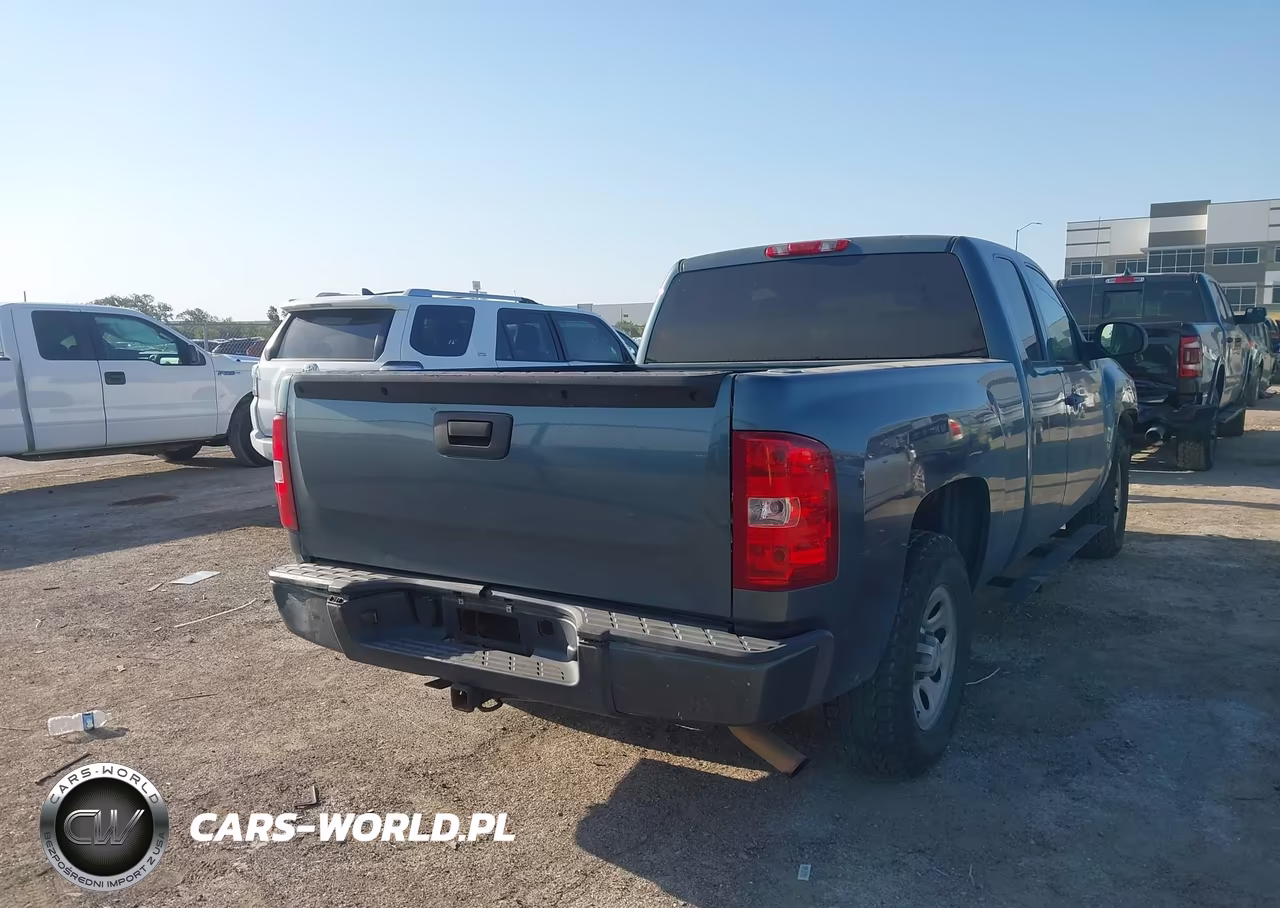 2009 Chevrolet Silverado 1500 Work Truck VIN:1GCEC19X89Z173163 - 4