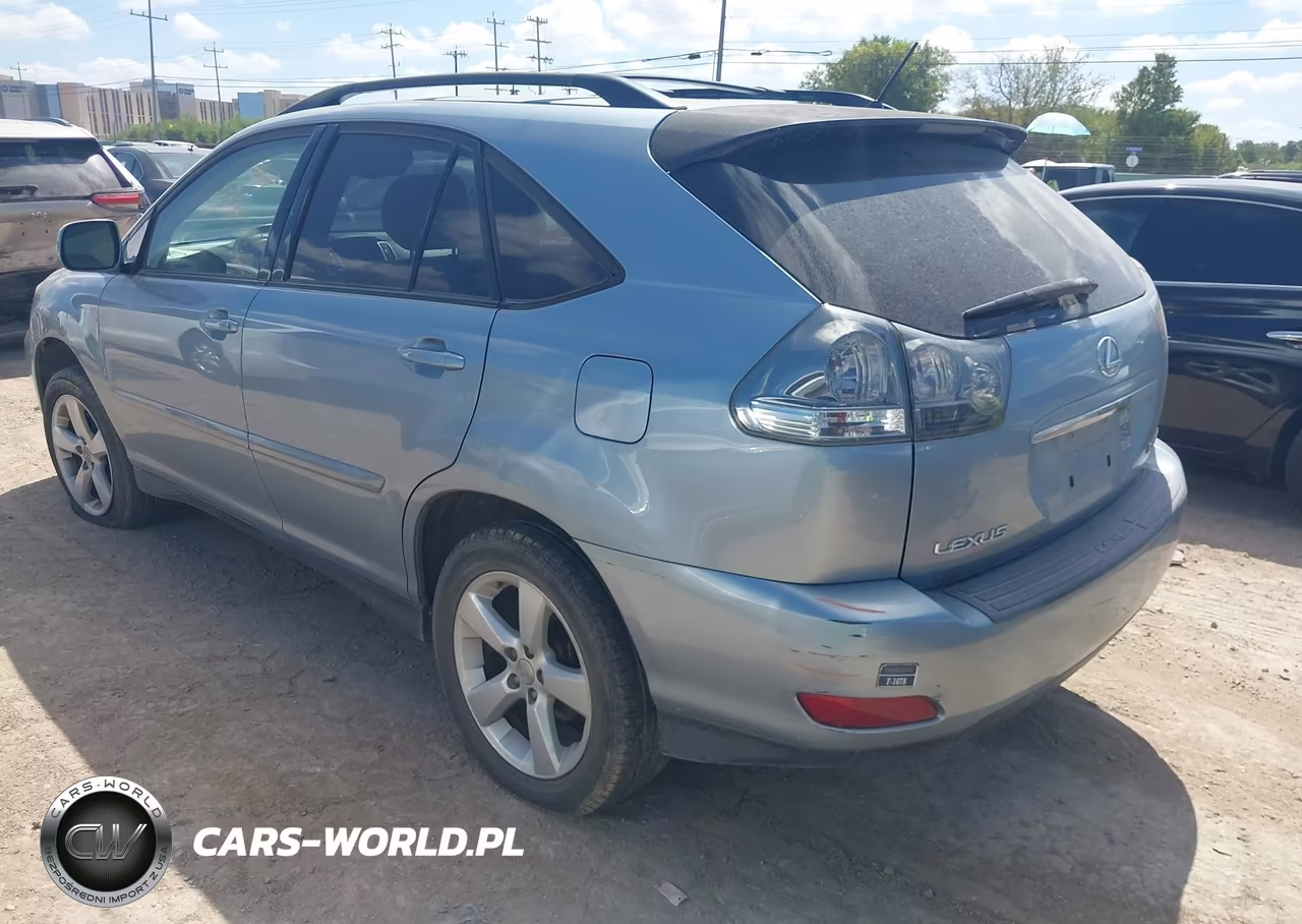 2004 Lexus Rx 330 VIN:JTJGA31U840029327 - 3