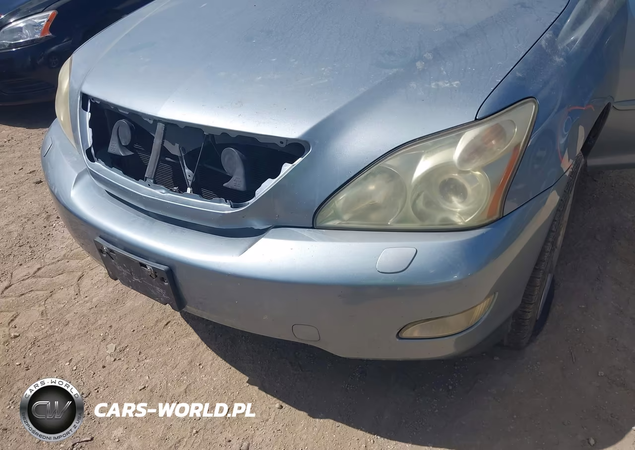 2004 Lexus Rx 330 VIN:JTJGA31U840029327 - 6