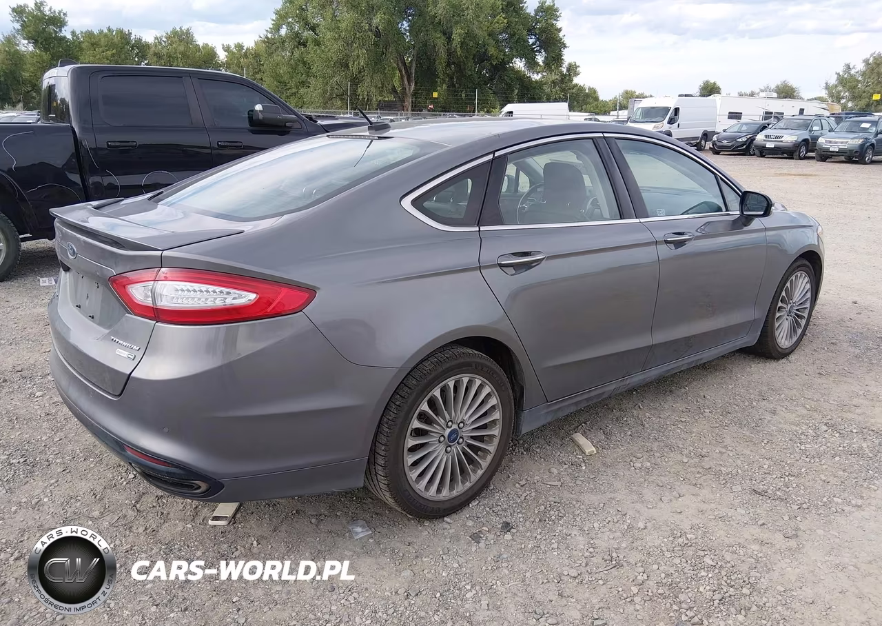 2014 Ford Fusion Titanium VIN:3FA6P0D92ER316169 - 4