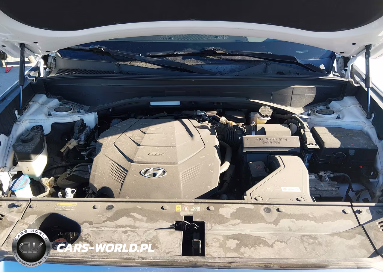 2020 Hyundai Palisade Limited VIN:KM8R54HE0LU090663 - 10