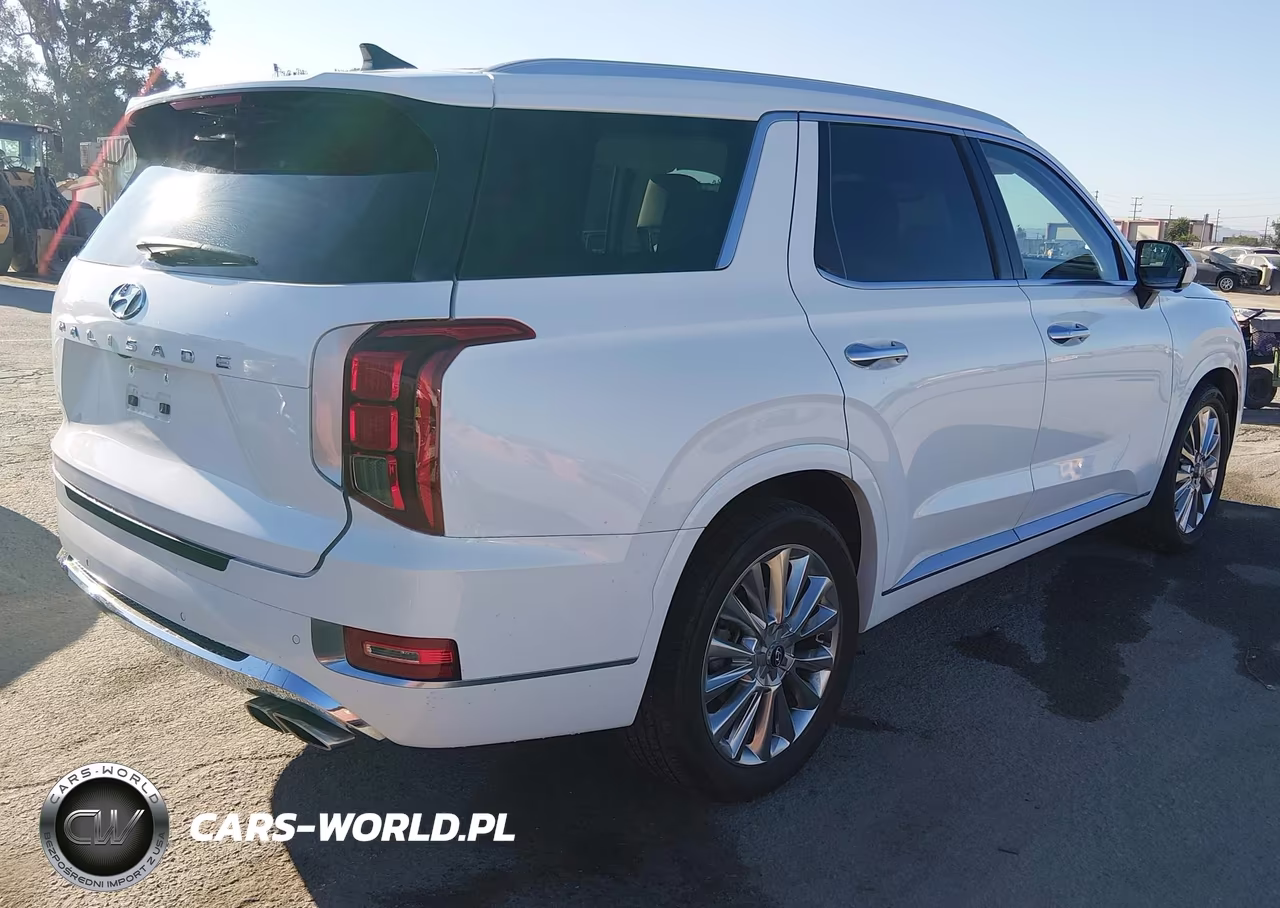 2020 Hyundai Palisade Limited VIN:KM8R54HE0LU090663 - 4