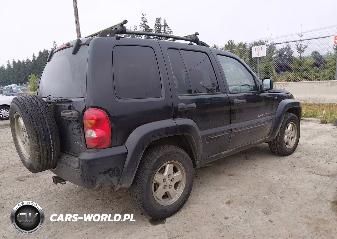 2002 Jeep Liberty Limited Edition VIN:1J8GL58K82W365138 - 4