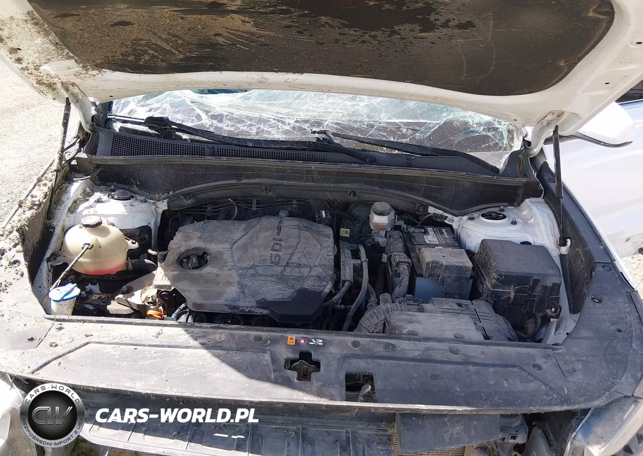 2022 Hyundai Santa Fe Se VIN:5NMS14AJONH376774 - 10