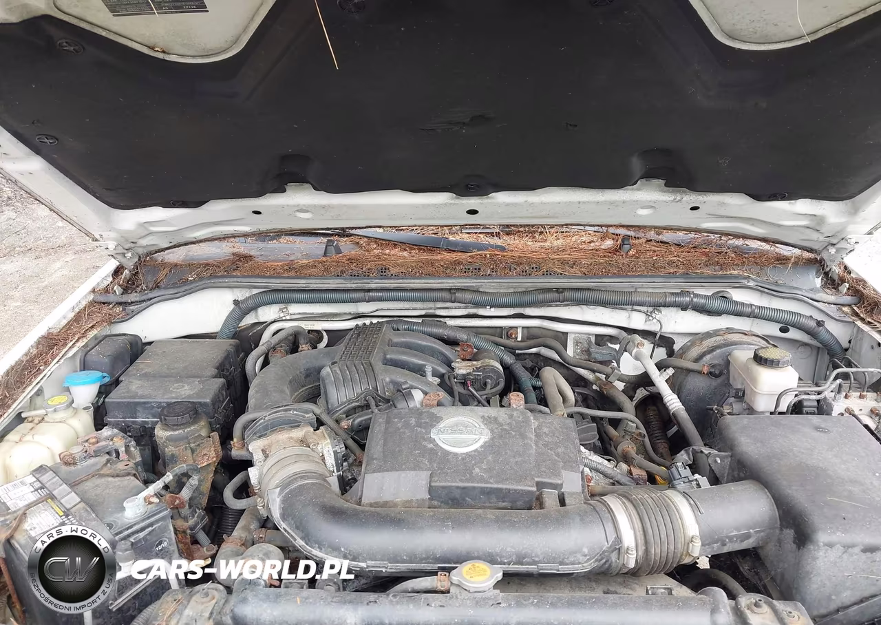 2010 Nissan Xterra X VIN:5N1AN0NW0AC510511 - 10