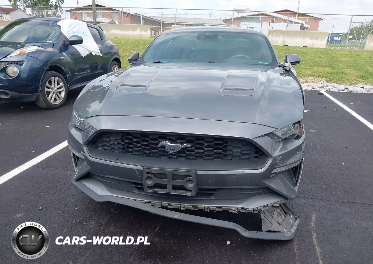 2022 Ford Mustang Ecoboost Premium Fastback VIN:1FA6P8TH1N5107743 - 13