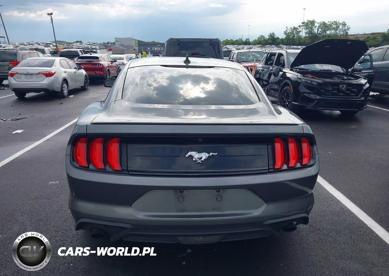 2022 Ford Mustang Ecoboost Premium Fastback VIN:1FA6P8TH1N5107743 - 17
