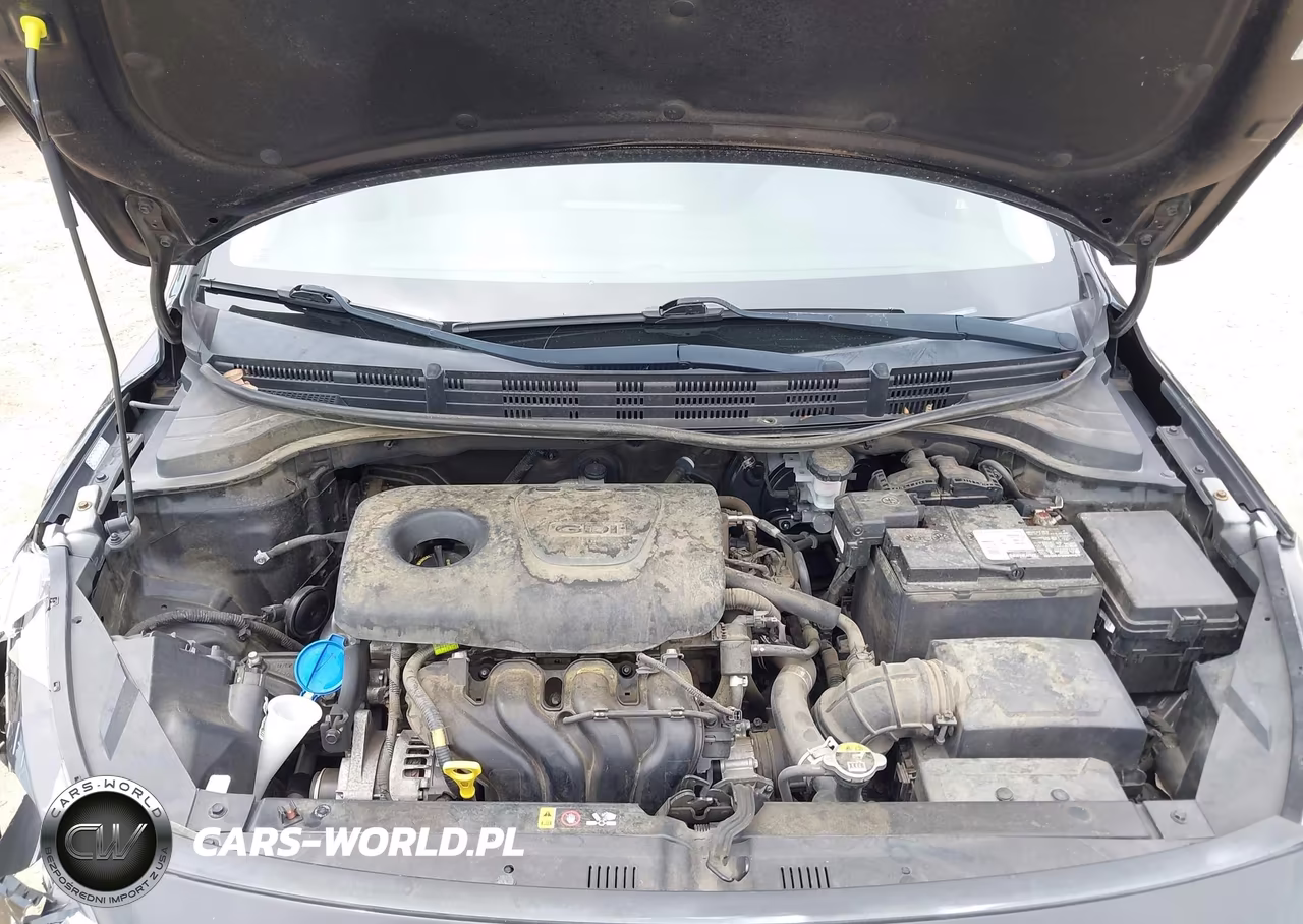 2019 Kia Rio S VIN:3KPA24AB8KE206117 - 10